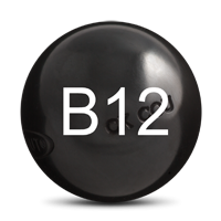 numero B02