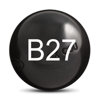 numero B27